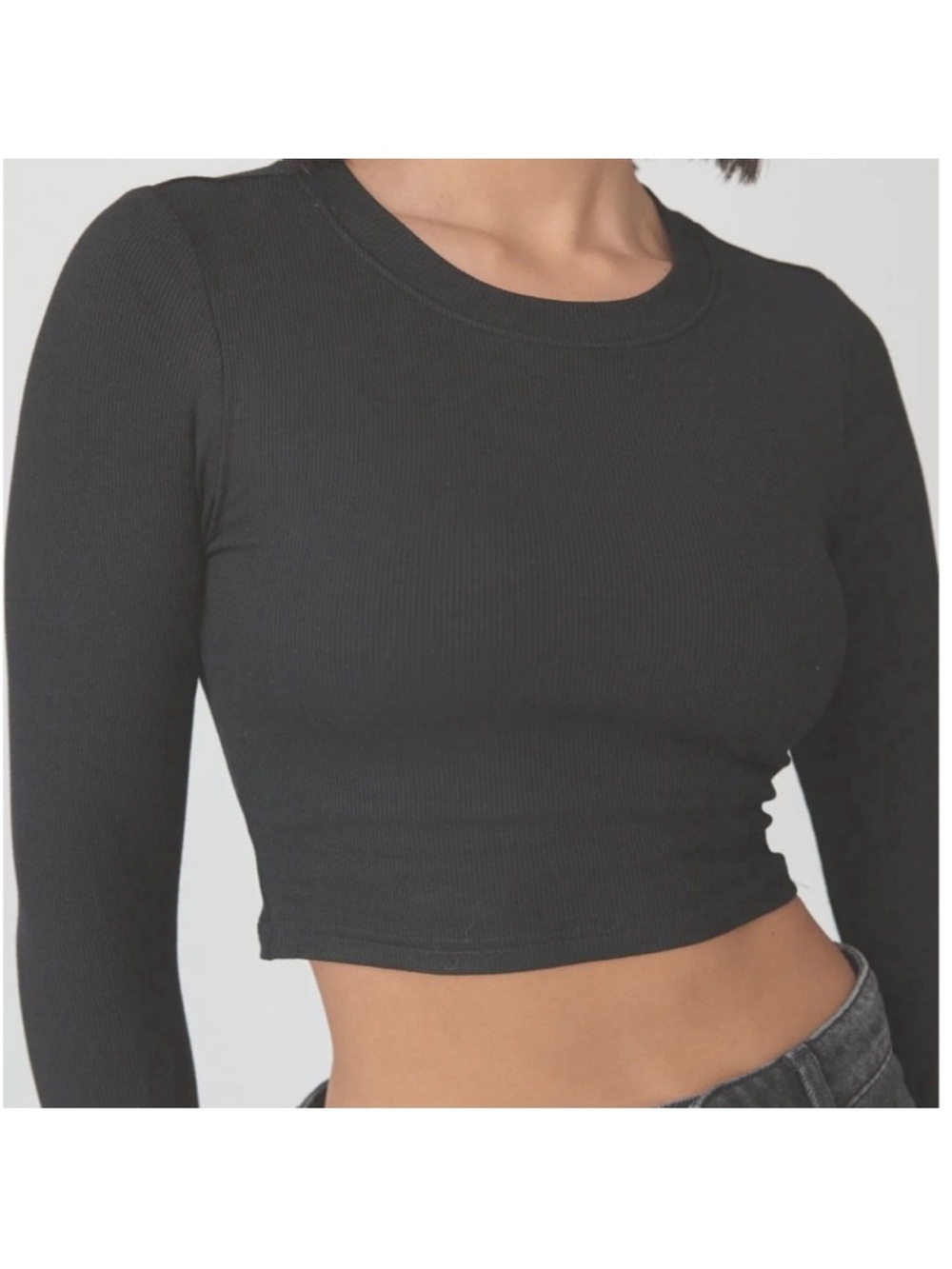 Klassy Network Ribbed Long Sleeve Crop Brami